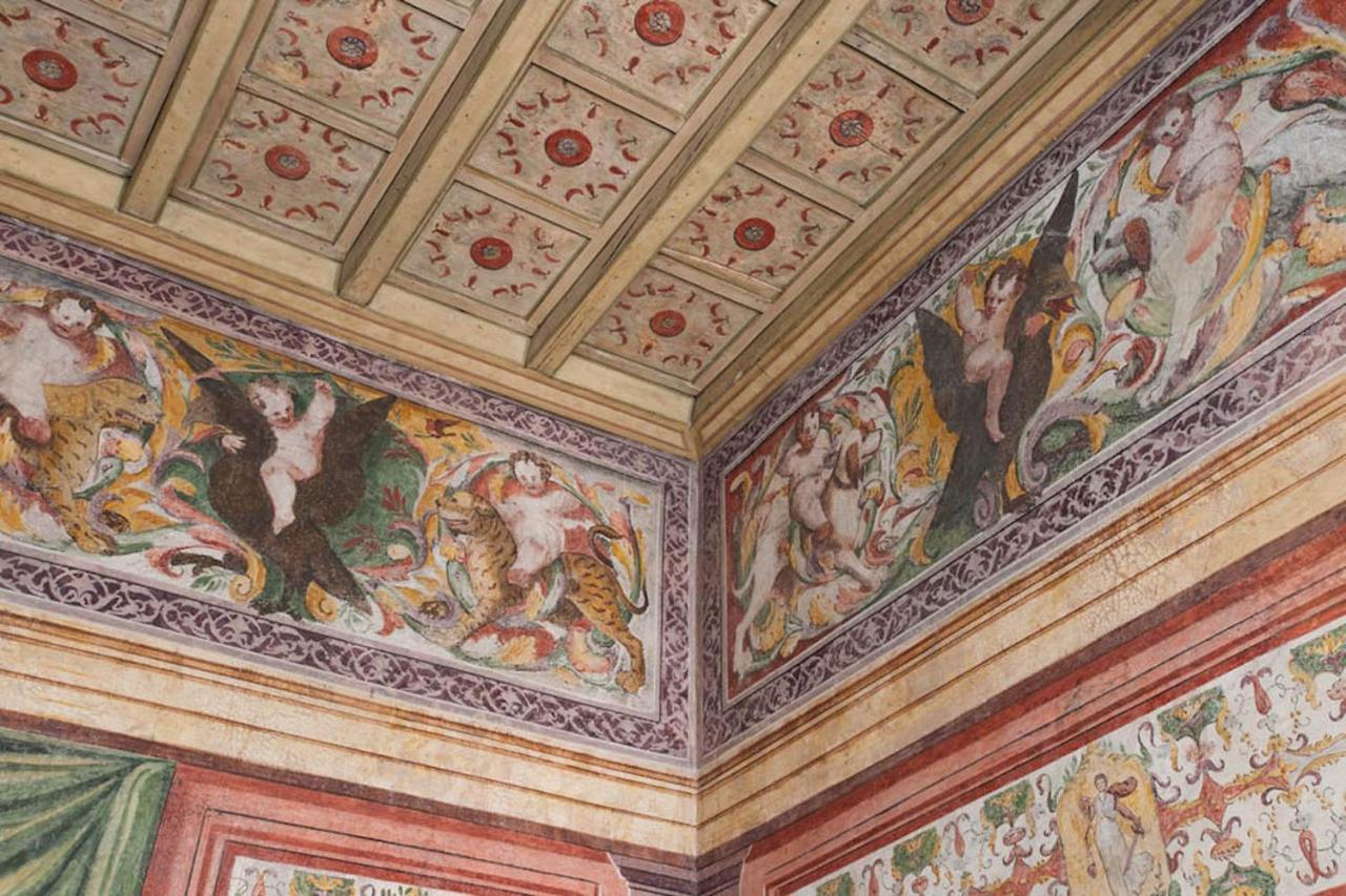 Palazzo Beccagutti Cavriani - Gallery E Frescoes Mantova